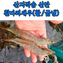 산지직송 신안 흰다리새우 깐새우 칵테일새우 왕새우 1kg, 급냉_칵테일새우_1kg