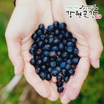 강원도 정선 유기농 냉동 블루베리 1kg 국내산, 1개