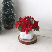 포인세티아 화분-중, 단품