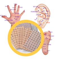 귀지압패치 [5+5/ 10+10 무배] 귀침 붓기침 채령귀침 지압스티커 다이어트패치 다이어트귀침 혈자리패치 혈자리테이프 이혈기석 지압테이프, 10+10/ 20장 (1200개)
