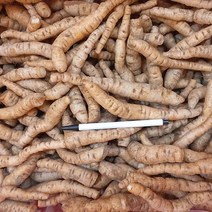 생지황600g 국내산(충남금산)