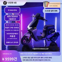 전기자전거 나인봇 9호 스마트 전기자전거 정비사 MMAX110p 신국가표준 9호 전기차 배터리카, 48V, 30AH, 푸젠성/광시성/후난성/산시성/산시성/허베이성/장시성/후