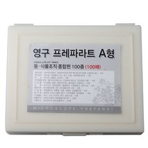영구프레파라트세트-동·식물종합세트A형100매, 상세페이지 참조