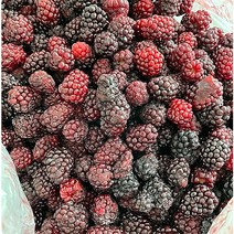 슈퍼복분자 냉동 복분자 1kg 3kg 5kg 수확후 바로 급냉 복분자주 국내산 산지직송 Blackberry, 슈퍼복분자(급냉) 5kg, 1개