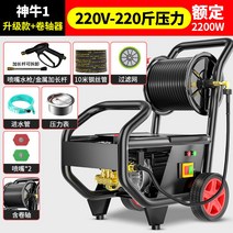 산업용 고압세척기 세차기 고압 업소용 물총 고출력 220V, 1.2.2KW-220V (10M 호스)