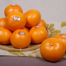 이베따 [대진작목반] 제주 천혜향 가정용 5kg(25-30과), 1