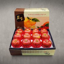 더조은푸드 [신선한아침] 제수용 사과 선물세트 3호 3kg (12-13과), 1