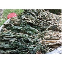 유기농 시래기 건시래기 무청시래기 100g 500g, 유기농시래기 500g