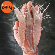왕새우 1kg 흰다리새우 국내산 대하 생물, 1box, 생물 흰다리새우 1kg