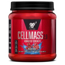 BSN CELLMASS Recovery Powder 비에스엔 노익스플로드 셀매스 리커버리 파우더 495g, 1개
