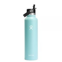 Hydro Flask 680.4g(24온스) 스탠다드 마우스 플렉스 빨대 캡 라구나162273, Dew, Dew