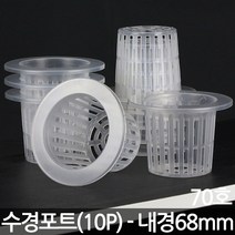 수경 포트 25호 X 10개 - 수경재배 화분 수경식물 포트 화분 수경포트망 포트망 수경재배망 망포트 매쉬포트
