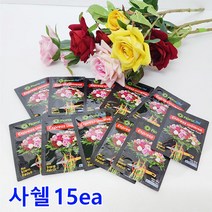 (샤인) 꽃수명연장제 사쉘 5ml x 15ea /100배 고농축/꽃의 생기를 오래동안 보존