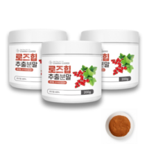 로즈힙추출분말100% 폴란드산 200g