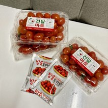 스테비아 방울 토마토 500g 1kg 3팩 퇴촌 화천 강원도 찰 스낵 토마토 다이어트, 스테비아방울토마토 500gx3팩