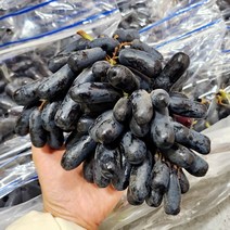 씨없는 블랙사파이어 가지포도 수입 핑거 마녀 포도, 1kg (900g-1kg 1봉지)