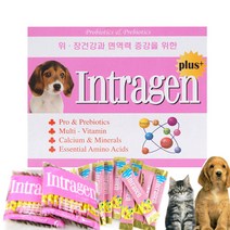 인트라젠플러스 종합 영양제 box(10p x 3개) 30포, 단품