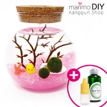 LED어항 350ml세트-마리모 1.5cm 유리자갈 핑크 diy 키트