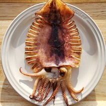 포항 구룡포 국내산 반건조 오징어 피데기, 소 10마리(1kg ~1.1kg) 내외