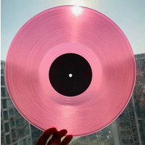 건방죽 희귀앨범 LP판 레코드 가루풀 스팟 선셋 스피드 금귤 Xizi JinjiKikko Vinyl Record LP