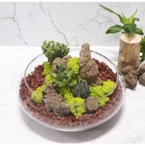 화분월드 화산석 홍색 대 9kg, 10개