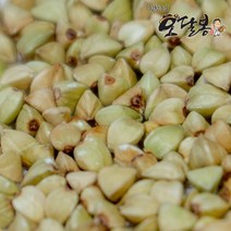 힘찬농부 수입 기피메밀 깐메밀, 1kg