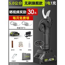 충전식 자동 전지가위 연장대 나뭇가지 전동 절단기 충전 장대 전기 전정 가위 리튬 배터리, [5.0cm날] 배터리 x 1개