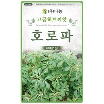 썸머 세이보리 1g - 허브 허브씨 허브씨앗 씨 씨앗 세이보리씨앗 세이보리씨 꽃씨 꽃씨앗 허브꽃 Savory, 13_다농_호로파(1g)