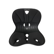 자세교정의자 체어 와이더 샐리 브라운 레드 그레이 등받이 허리 척추교정, 블랙