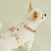 이름 무료 각인 앞섬방지 H형 강아지 밴드 하네스 가슴줄 기본형, 1. 아이보리 + 인디핑크