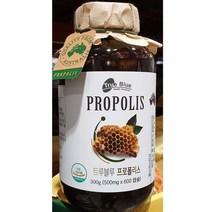 트루블루 프로폴리스 500mg x 600캡슐 코스트코