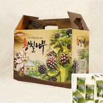 국산 황칠 나무즙 추출물 액기스 진액 100MLX60P 황칠즙 황칠나무진액, 황칠나무즙1박스