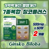 은행잎추출분말 혈행개선제 기억력개선 7종복합기능성 징코플러스 플라보놀배당체 징코빌로바, 2통 500mg x  60정  (38%할인), 2개