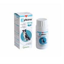 베토퀴놀 질켄 중대형견 보조제 225mg x 30p, 불안과 스트레스 완화, 3개