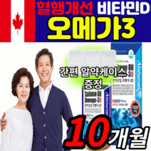 캐나다 새몬 오메가3 오일 액체 비타민D 식약청 인증 영양제 혈행 혈관 혈액 순환 눈 건조 개선 도움 오매가3 식약청 인정 오매가 오메가 쓰리 기름 알 약 형 원액 보조제 보충제, 2통(58,420원 할인), 1001mgX300캡슐