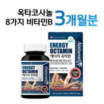 하루 1정 에너지 옥타민 옥타코사놀 지구력 증진 에너지 비타민B 마카 농축 분말 비오틴 나이아신 엽산 아연 에너지 보충 캐나다 직수입 완제품 헬스 등산 산책 조깅 운동 에너지, 1통, 1256mg x 90정 (하루 1정)
