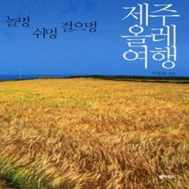 [개똥이네][중고-상] 제주 올레 여행