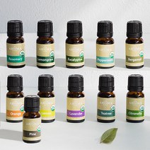 더아로마샵 USDA 천연 아로마 오일 테라피 숙면에좋은향 집중 기분전환 시너지, 레몬그라스 10ml