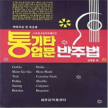세광 / 통기타 입문 반주법 - 학원교습 및 독습용