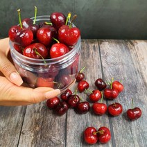 새콤달콤 칠레 겨울 생체리 5kg 26mm