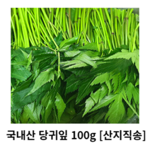 국내산 당귀잎 100g 250g 500g 1kg 산지직송 당귀 당귀잎쌈채소 당귀잎 잎당귀 쌈당귀 쌈채소 약용식물 건강채소 샐러드 샐러드채소 채소반찬 나물반찬 장아찌용 싱싱한 신선한