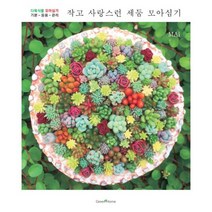 밀크북 작고 사랑스런 세둠 모아심기 다육식물 모아심기 기본 - 응용 - 관리, 도서, 9788971907818