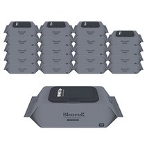 바이오늘 프렌즈 에브리데이 물티슈, 20팩, 100매