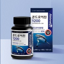 뮤코다당단백 콘드로이친 1200 상어연골 콘드리친 무릎 관절 연골 영양제