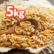 23년 직수입 5kg 호라산밀 당뇨에 좋은 고대 곡물 셀레늄 풍부, 1kg, 5개