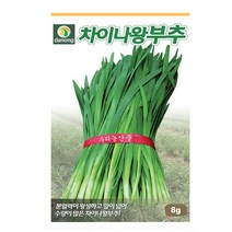 차이나왕부추 80g 차이나왕부추씨 차이나왕부추종자 차이나왕부추씨앗