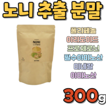 에너데이 노니 추출 추출물 분말 가루 거루 파우더 파우다 300g NONI EXTRACT POWDER 쥬스 주스 차 TEA 100% 100프로 100퍼센트 100퍼 순수 먹기편한