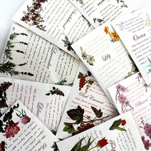 종이 옷장 욕실 차량 방향제 냄새 제거 12매 8.5cmX12cm, 레드커렌트