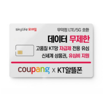 KT 알뜰폰 유심 스카이라이프 무약정 후불유심칩 자급제폰, 신규가입, NFC유심