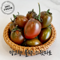 산지직송 블랙 망고향 스테비아 흑 대추 방울 토마토, 스테비아 방울토마토 500g*4팩(블랙)